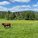 Apartment Berglage - Urlaubzuhause Braunlage