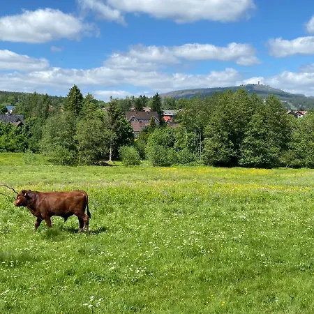 Lejlighed Berglage - Urlaubzuhause Braunlage
