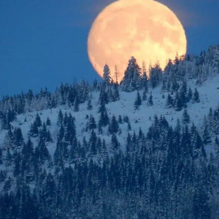 Διαμέρισμα Berglage - Urlaubzuhause *