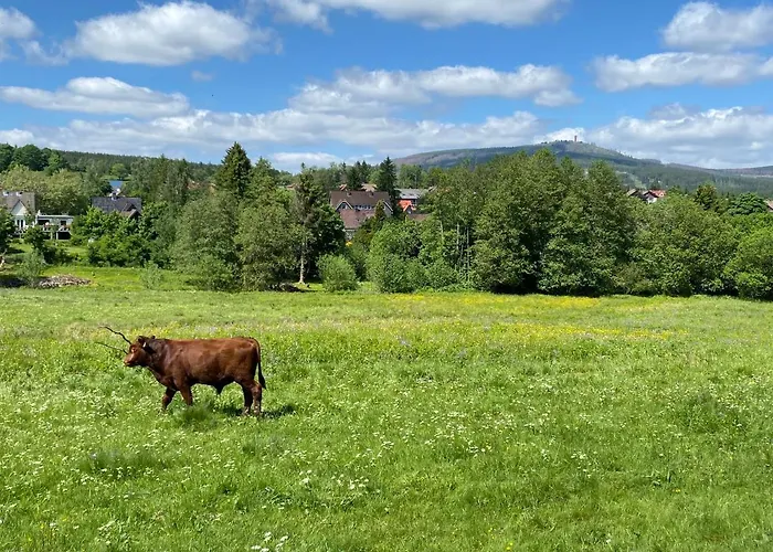 Apartamento Berglage - Urlaubzuhause Braunlage