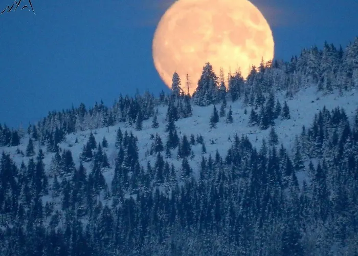 アパート Berglage - Urlaubzuhause *